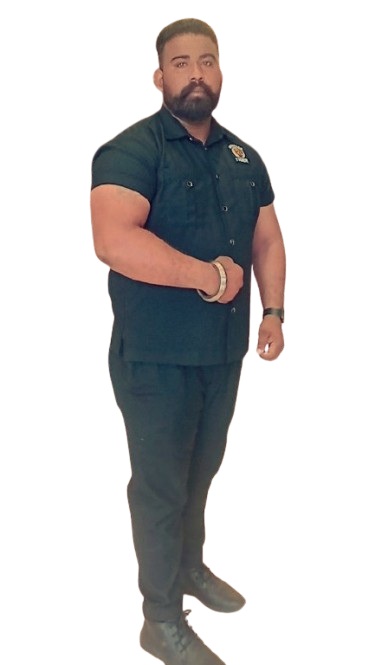 Bodyguard/Personal Bouncer